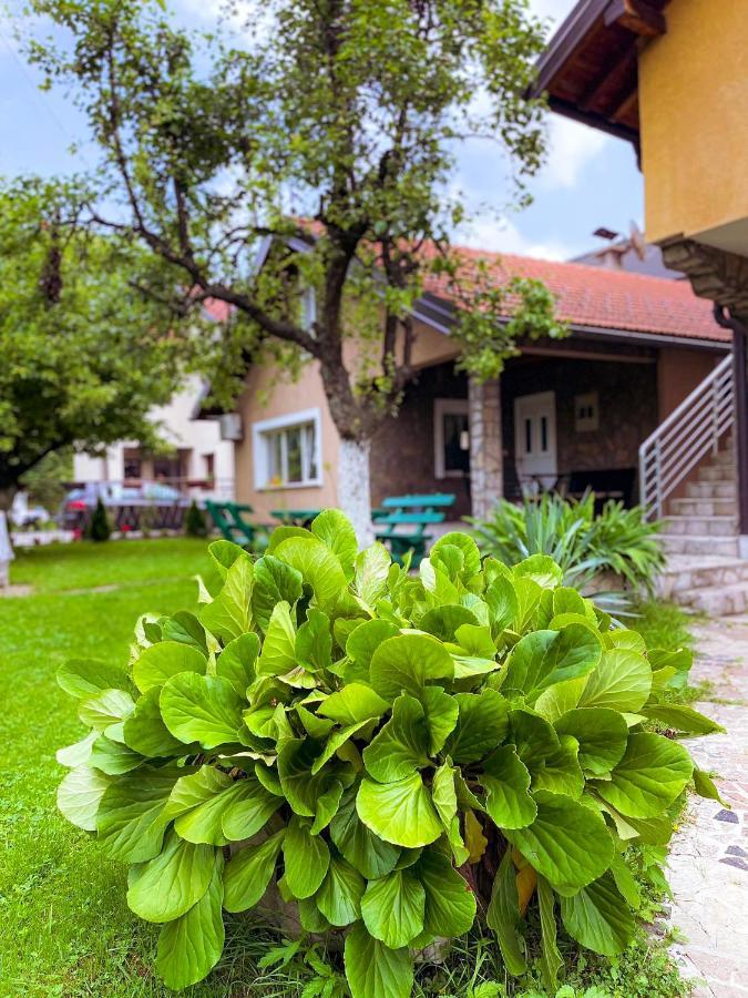 Adella Saraievo Exterior foto